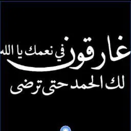 جلوبال للغات والترجمة