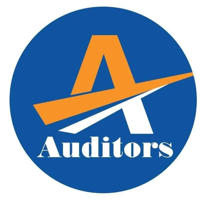 Auditors