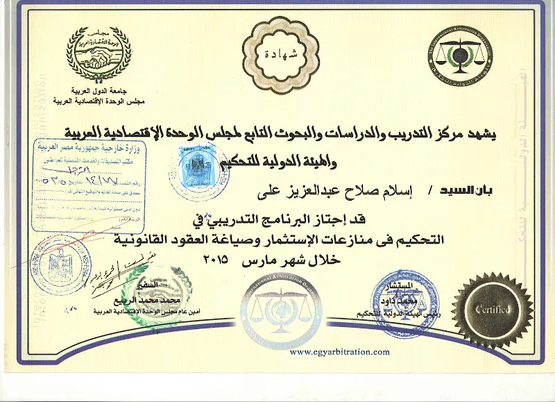 eslam salah accountant