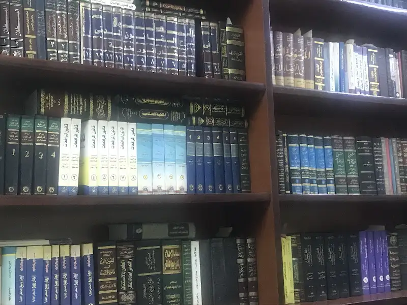 Ahmed nady lawyer