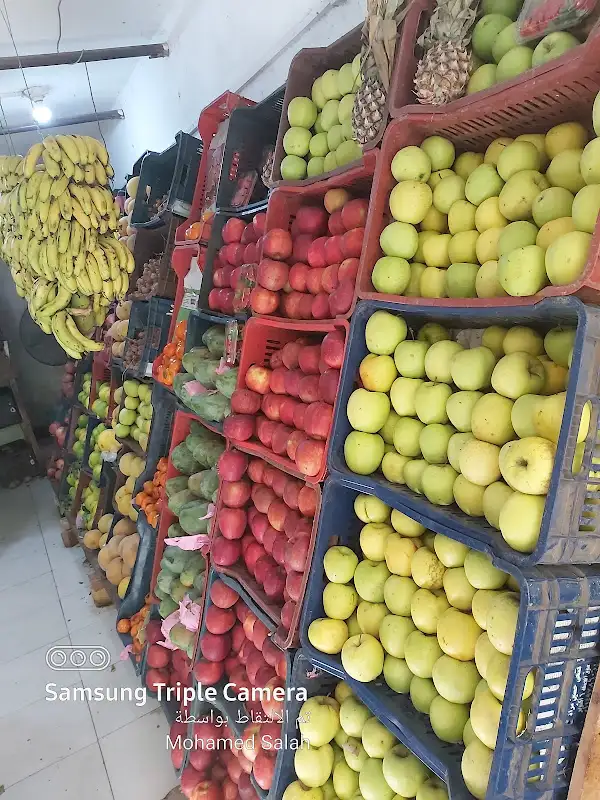 Macca Markets