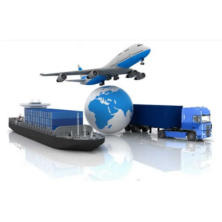 Egyptian International Shipping and Customs Services