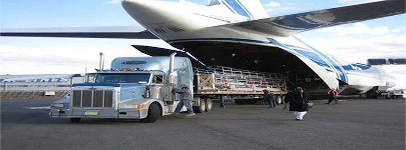 Future International Customs Clearance