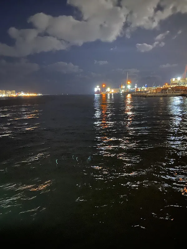 portsaid