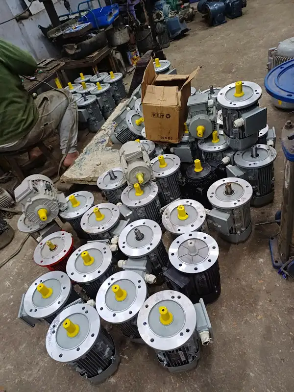 German Electric Motor Import and Export Company