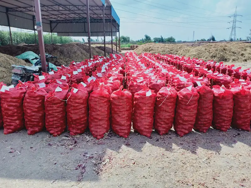Al-Mustaqbal Company Warehouse