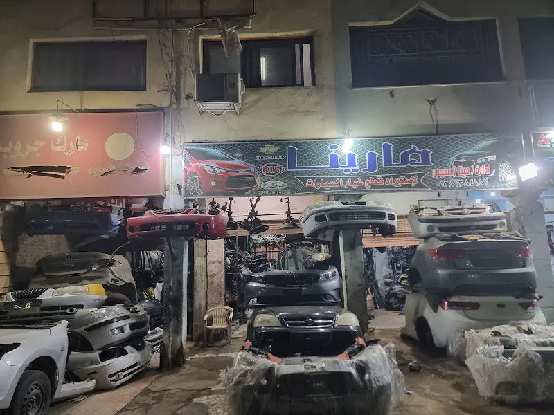 Mohamed ramadan home