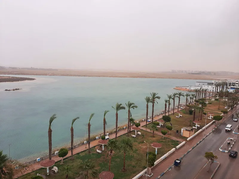 Al-Bareq International for Import and Export