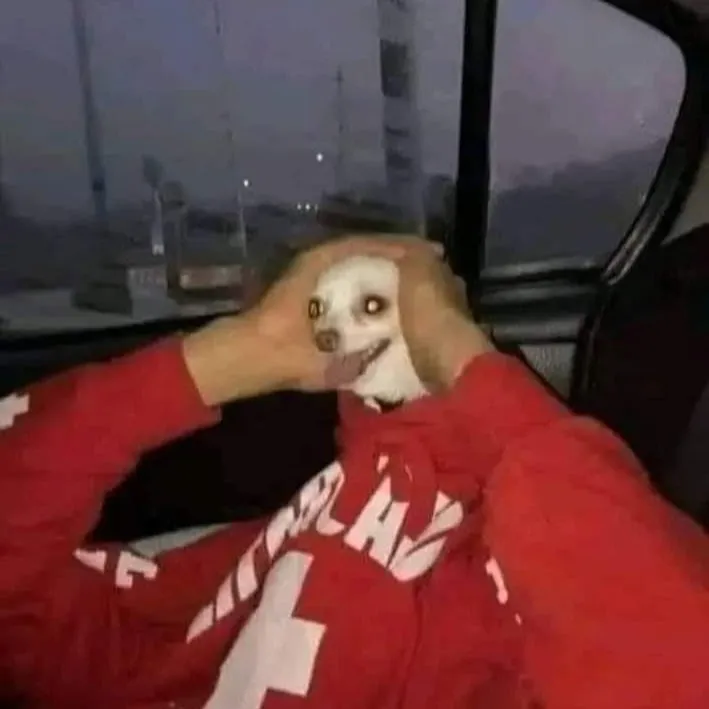 أبوطبل للشحن دمياط الجديدة
