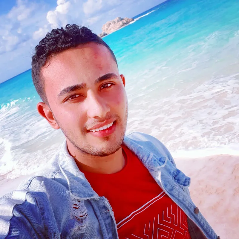 شركة دمياط للملاحة والاعمال البحرية