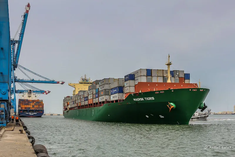 Damietta Container and Cargo Handling Company