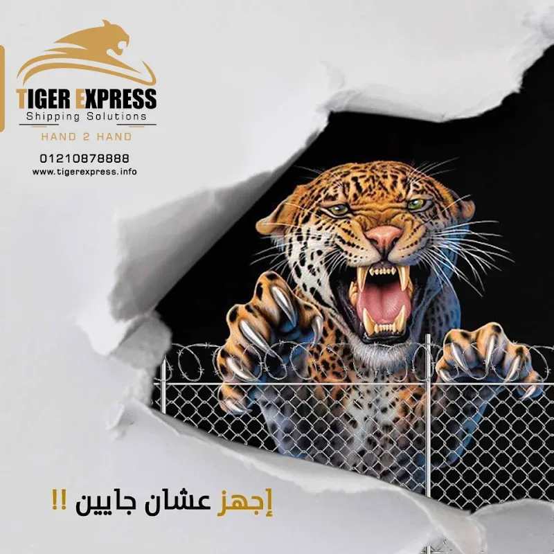 Tiger Express