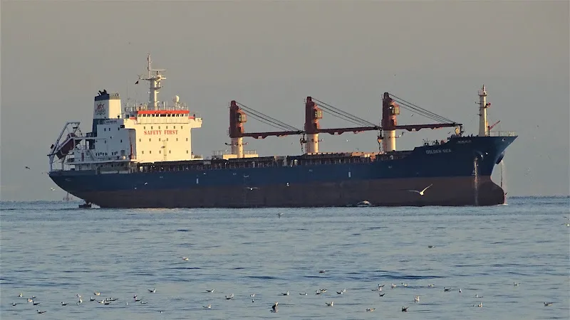El Reedy Shipping Agency