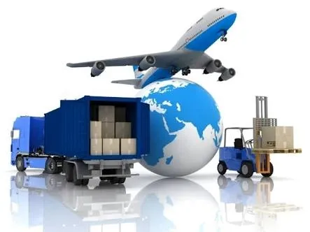Golden Falcon Company for Domestic and International Shipping