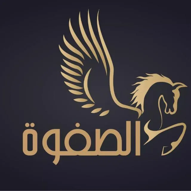 International Postal Services Company, Egypt Serve - Minya Branch