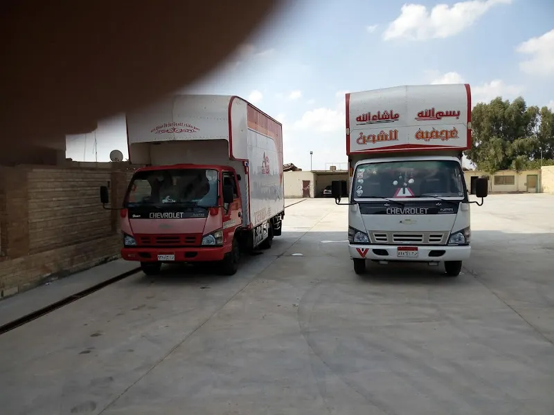Beta Cargo للشحن البحرى والبرى والجوى
