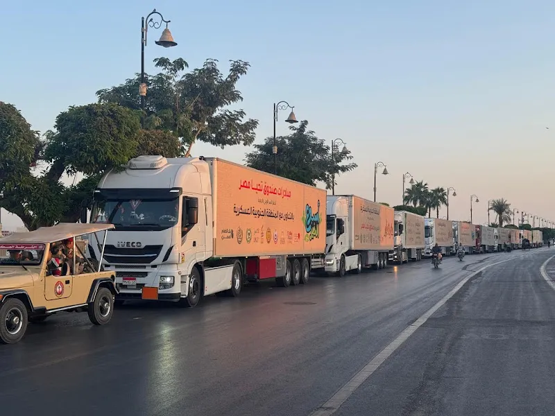 شركة الجازوي للتصدير والشحن