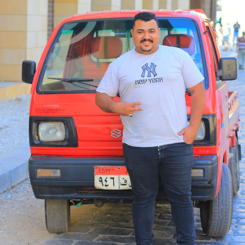 شركة النصر للشحن الداخلى