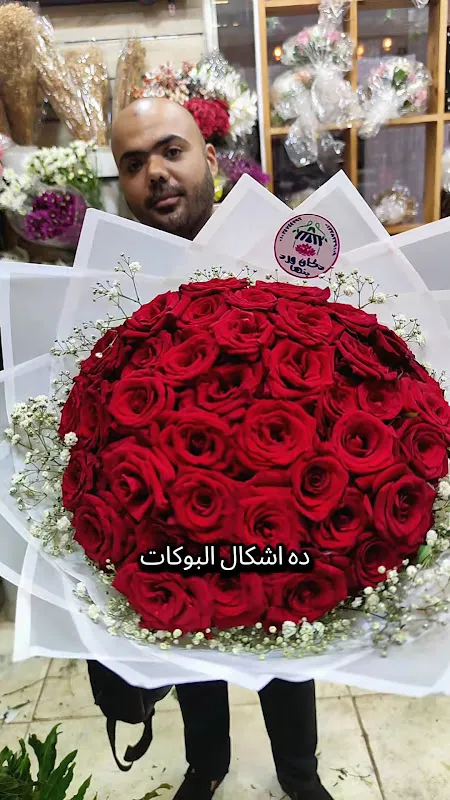 الشركة الدولية للخدمات البريدية ايجى سيرف فرع بنها