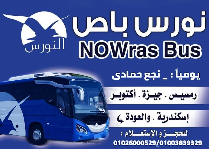 النورس للنقل البرى