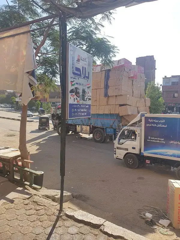 Plaja Cargo & Travel Office