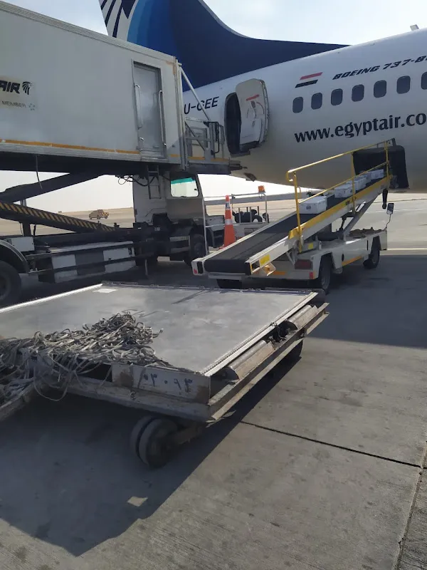 Express Line Egypt International Freight Forwarding Services