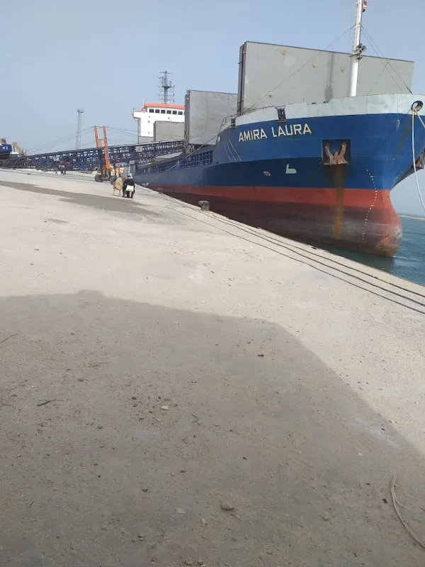 شركة سينا سبيد للشحن وخدمات التصدير