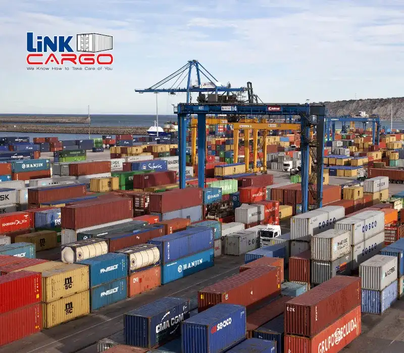 Blue Ocean Logistic
