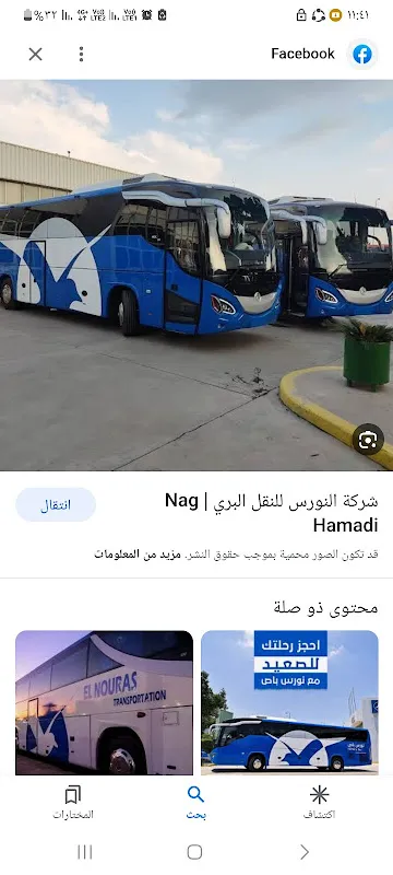 النورس باص