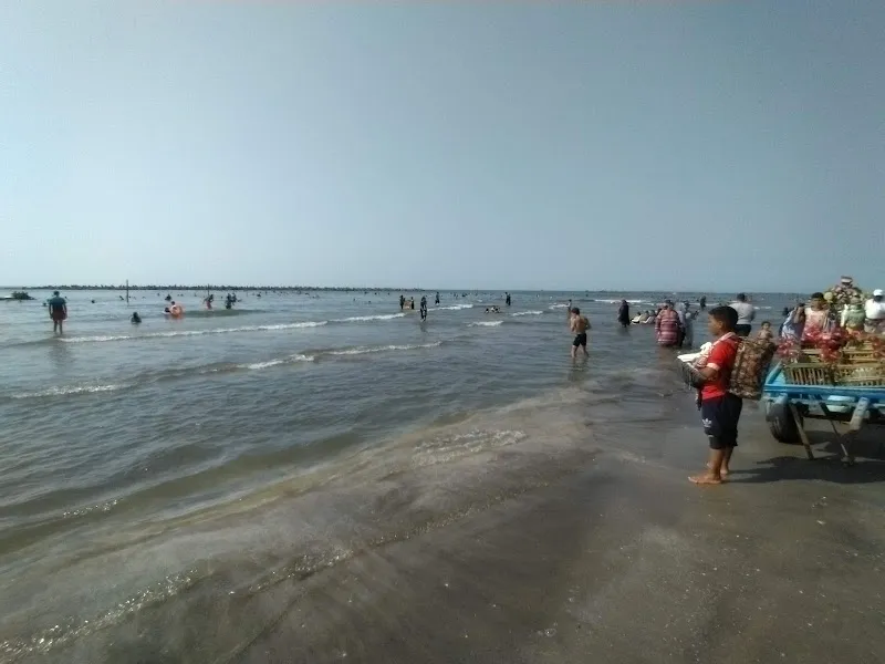 Family Beach 101