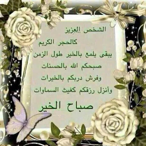 شركة النور للأدوات الصحية
