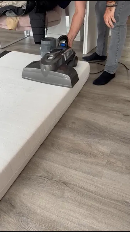 German Mattress Disinfection