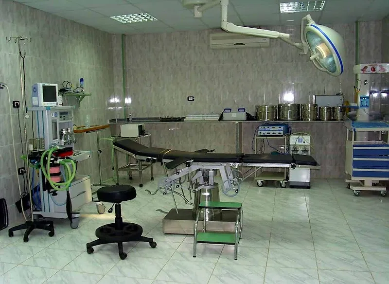 Delta Hospital, Ras El Bar