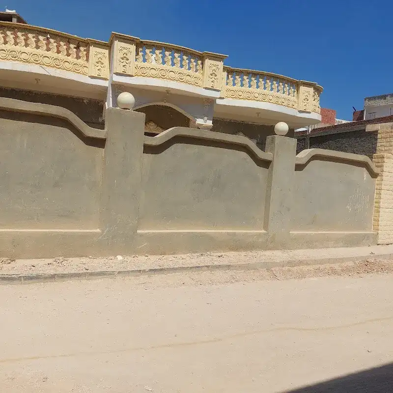 شلتوت