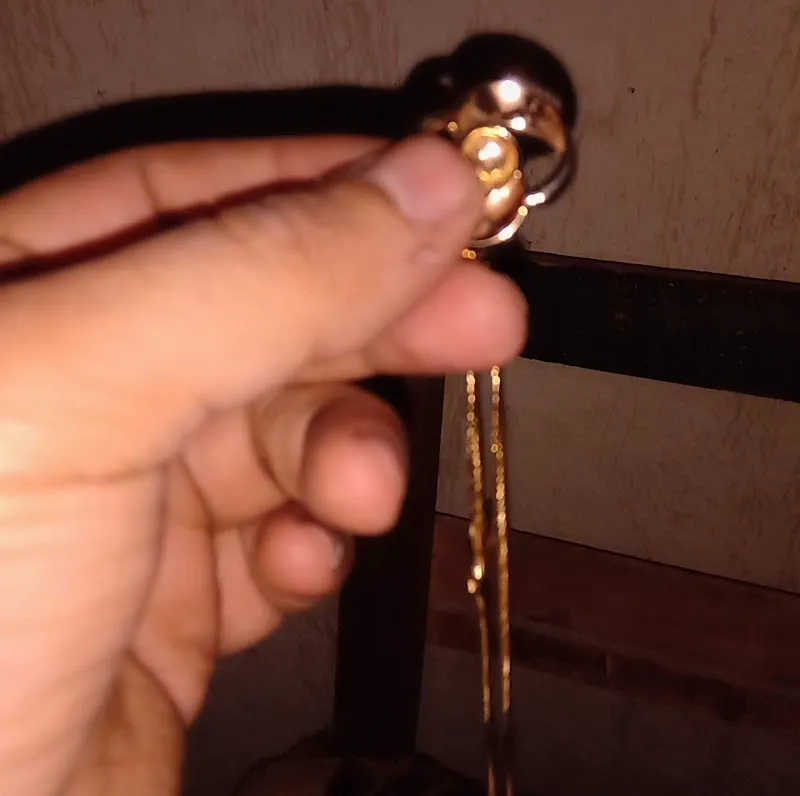 د. مصطفى ابو علو