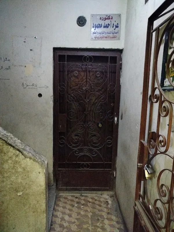 د. عزة احمد محمود