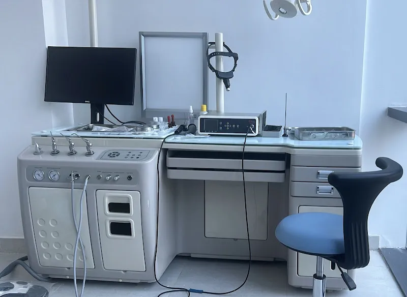 Prof. Dr. Hesham Shaalan ENT Clinic