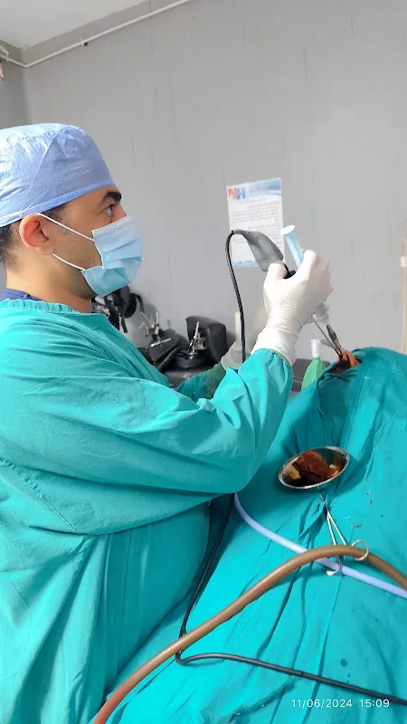Dr.Albert Iskandar Morgan. ENT Surgery and Endoscopy; Royal College of Surgeons