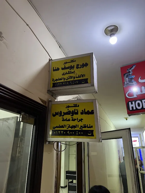 د. محمد احمد عبد الرازق