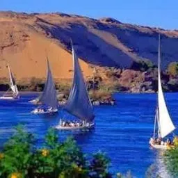 مستشفي النيل التخصصي