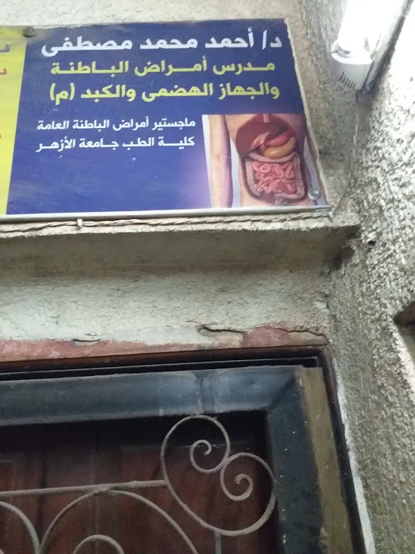 Consultant / Ahmed Mohamed Mustafa