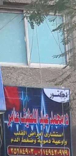 د/ محمد عبداللطيف عامر