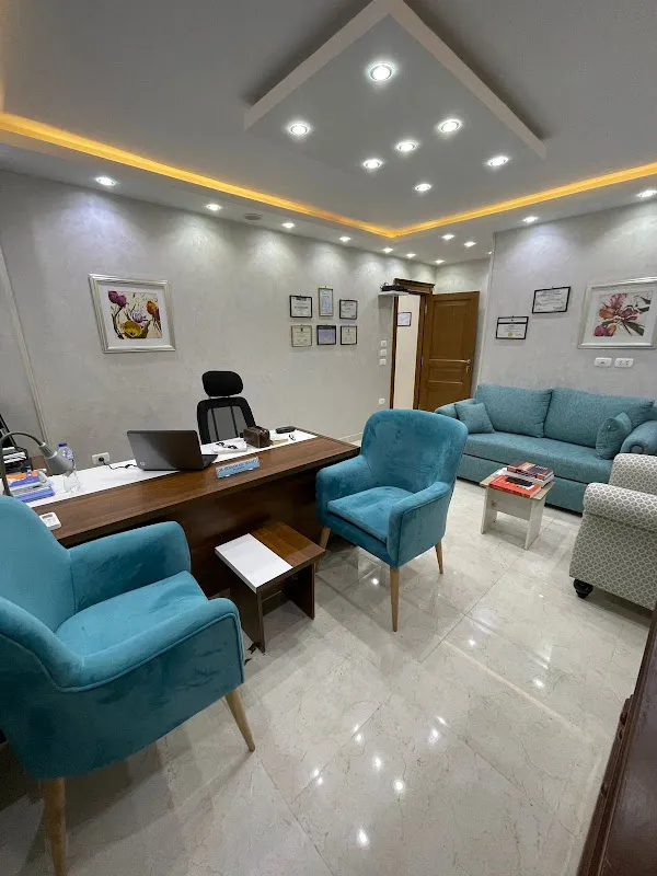 Mind Zone Psychiatry Center - Prof. Dr. Hesham Hegazy