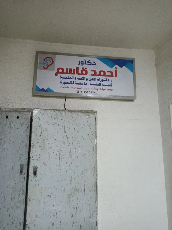 د. محمد صلاح الدين حسن