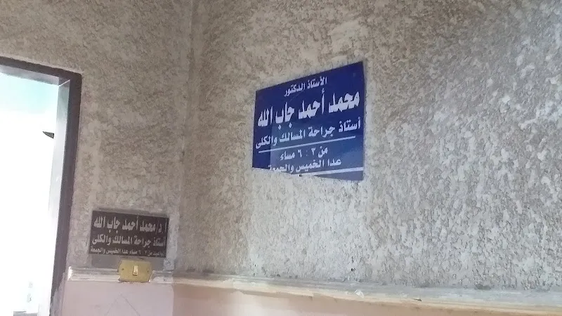 د. بدير على الدين