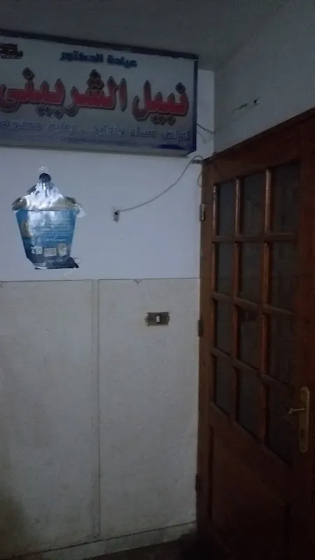 د. محمد عبد العزيز السنى