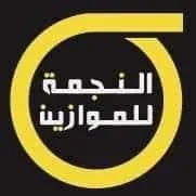 د. ابراهيم محمد عبد الهادى