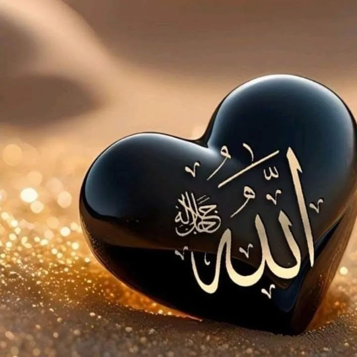 د. اسامة سند