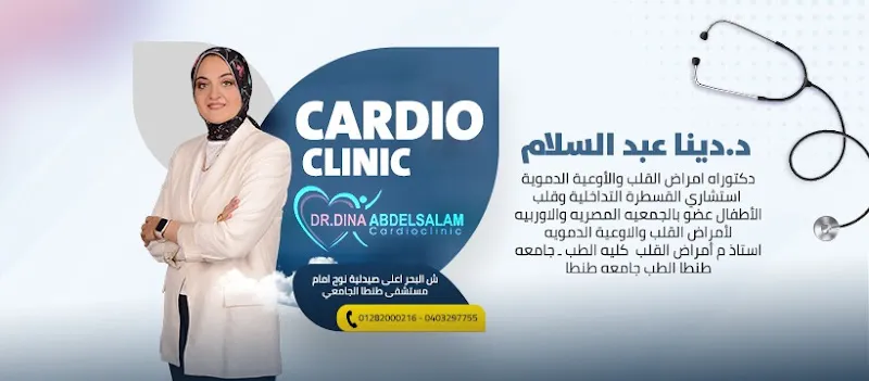 د. هشام ابو العنين