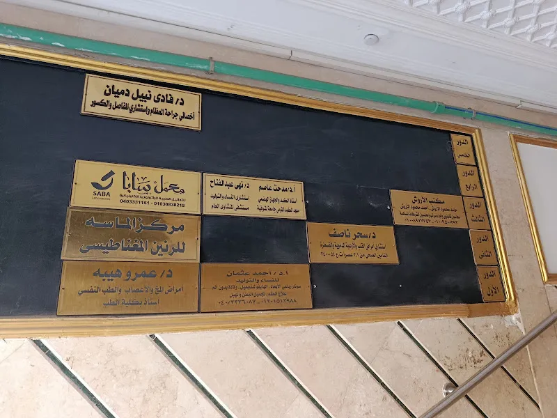 د. حسن جمال الدين نصار